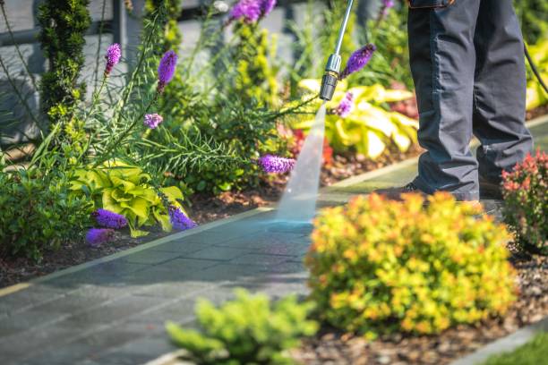 Best Gutter Cleaning  in Adamstown, PA